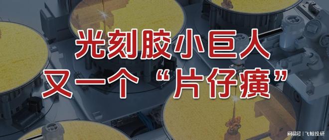 国内独家，光刻胶小巨人，又一个“片仔癀”！