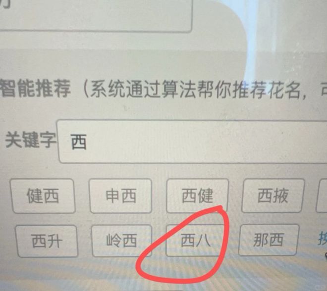 三只松鼠员工必须起名“鼠XX”还得喊顾客主人,打工人进大厂起花名像被夺舍了_三只松鼠员工必须起名“鼠XX”还得喊顾客主人,打工人进大厂起花名像被夺舍了_