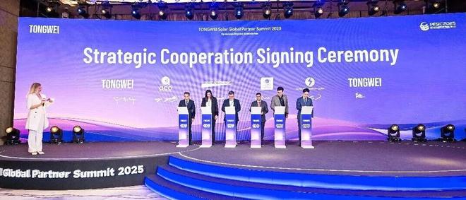 光伏行业储能行业前十大公司__光伏储能产业链