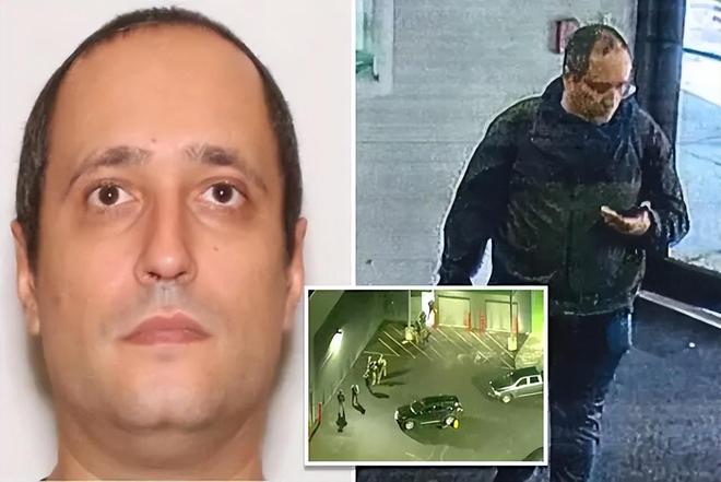 _布朗奇才_布朗天才国际少儿英语怎么样