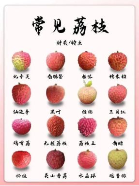 外国人吃荔枝_老外在广州吃美食_