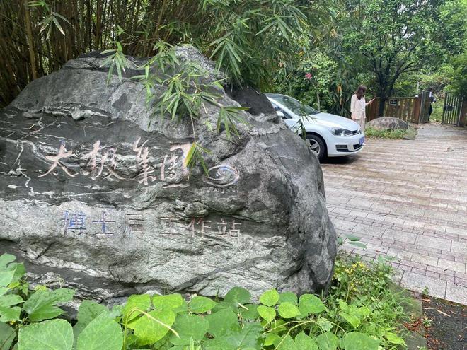 卖药不如卖别墅！太极集团卖出重庆最顶级别墅香樟林，获利1800万元！__卖药不如卖别墅！太极集团卖出重庆最顶级别墅香樟林，获利1800万元！