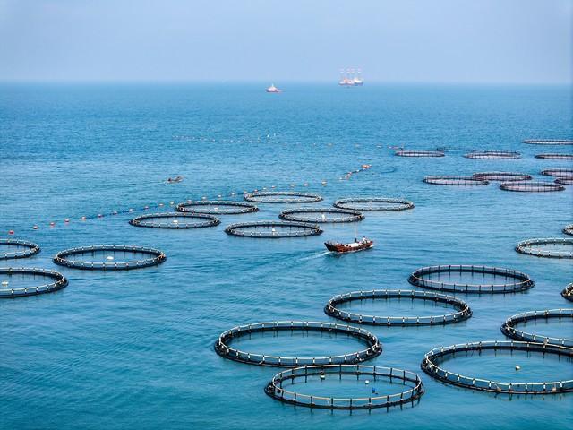 _水产滞销_人民日报评论员破壁垒