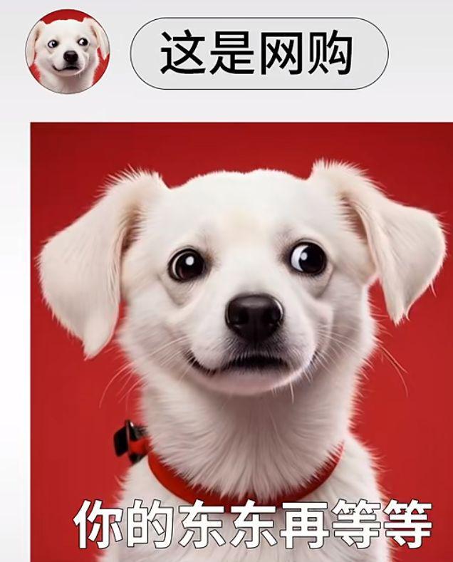 _刘强东直订_刘强东强