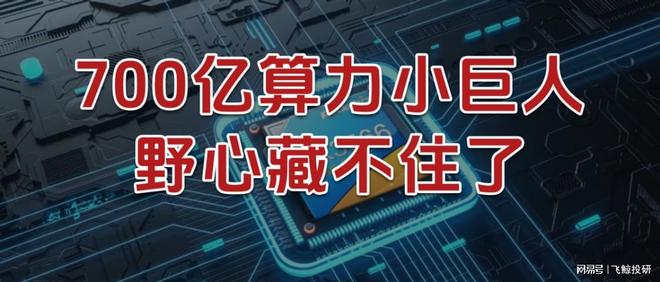 _700亿算力小巨人，野心藏不住了！_700亿算力小巨人，野心藏不住了！