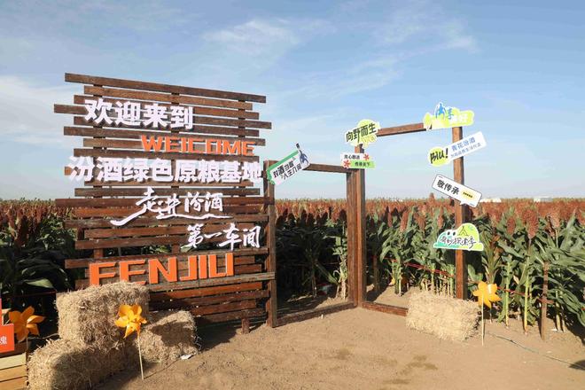 黑土生金，天赐粮源！北纬43°的汾酒“粮心”答卷