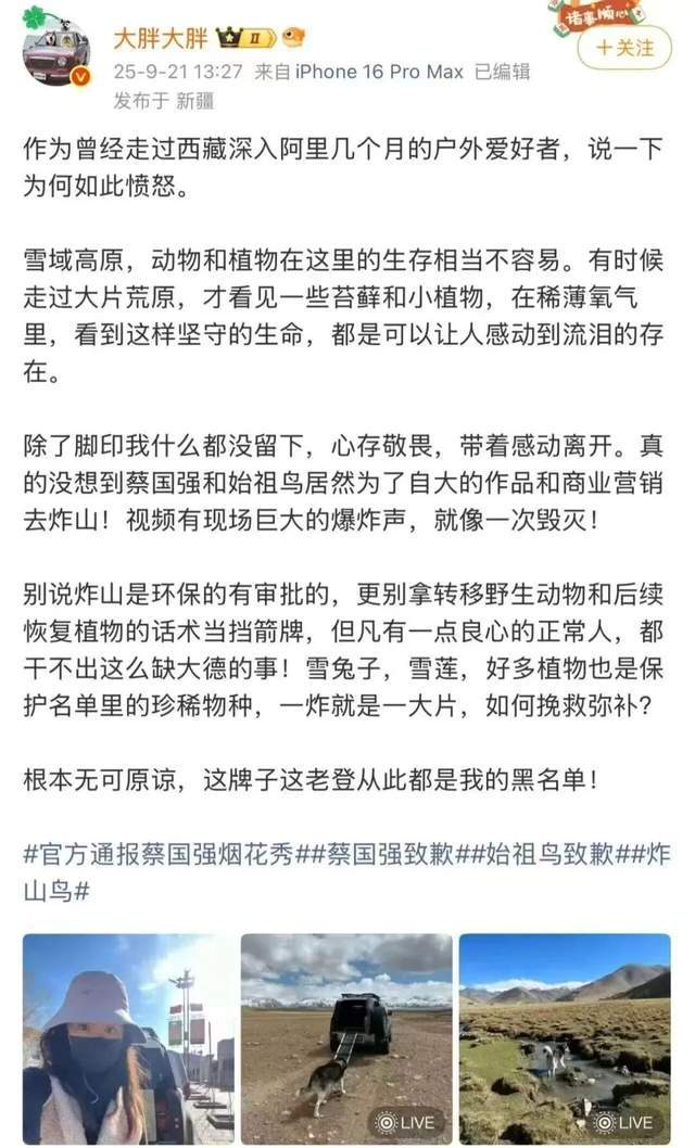 _2021双11预售_双11大跌