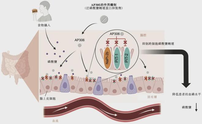 最大蓝海，肾脏病第一股亮相__最大蓝海，肾脏病第一股亮相