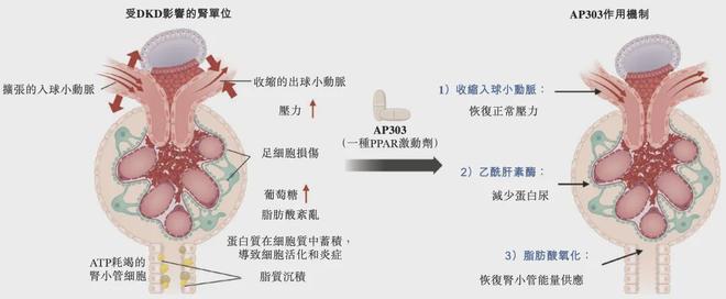 _最大蓝海，肾脏病第一股亮相_最大蓝海，肾脏病第一股亮相