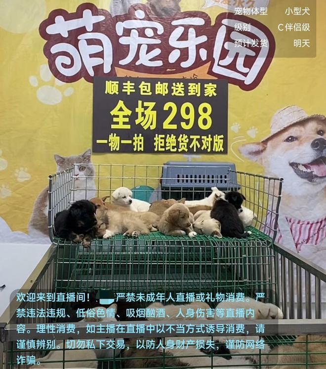 _快递宠物犯法吗_快递运宠物安全吗