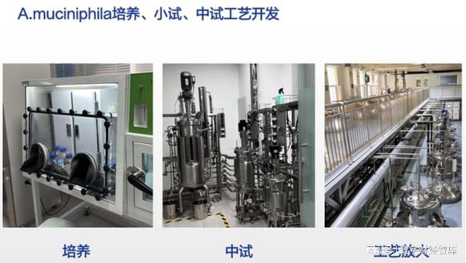科技减脂效果好吗_科技瘦身是怎么做的_