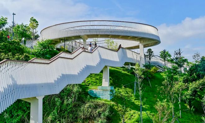 东莞深圳__深圳东莞4大金牌打手