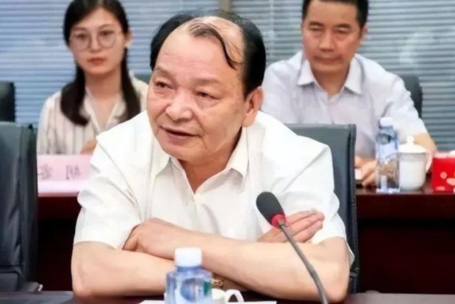 欠债2亿不还，73岁稀土大王被踢出港股董事会！父子双双败光家产_欠债2亿不还，73岁稀土大王被踢出港股董事会！父子双双败光家产_