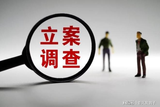 _武汉老板监守自盗，用员工账户藏公款，5年挪走7个多亿_武汉老板监守自盗，用员工账户藏公款，5年挪走7个多亿
