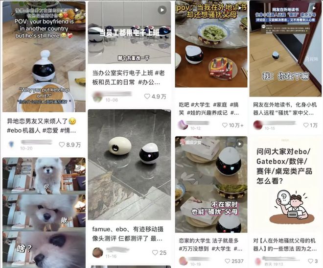 操控老鼠的生活_亲前男友前男友不躲_