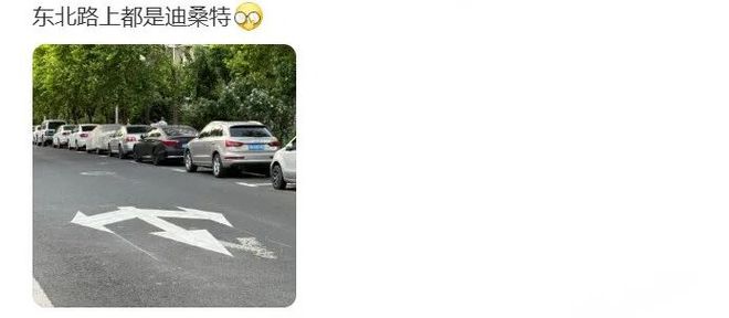 杀疯了的迪桑特,统一东北大哥审美_杀疯了的迪桑特,统一东北大哥审美_