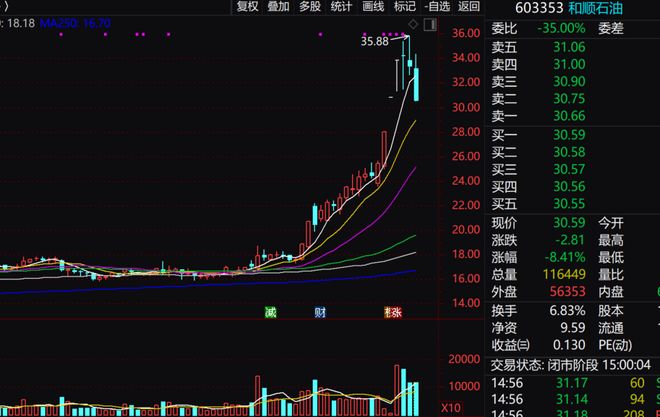 民营加油第一股,追“芯”也很野_民营加油第一股,追“芯”也很野_