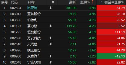 比亚迪大涨_比亚迪跌了还能涨吗_