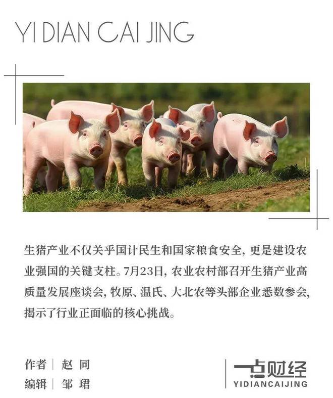 生猪产业新生态：结构调整与种养结合，筑牢农业强国根基