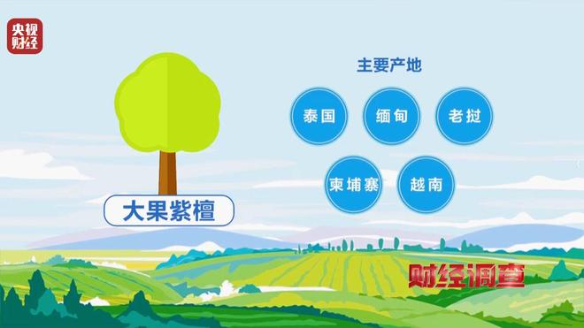 红木造假如何辨认_红木证书真假_