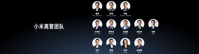 _雷军造车计划_雷军芯片沙子价