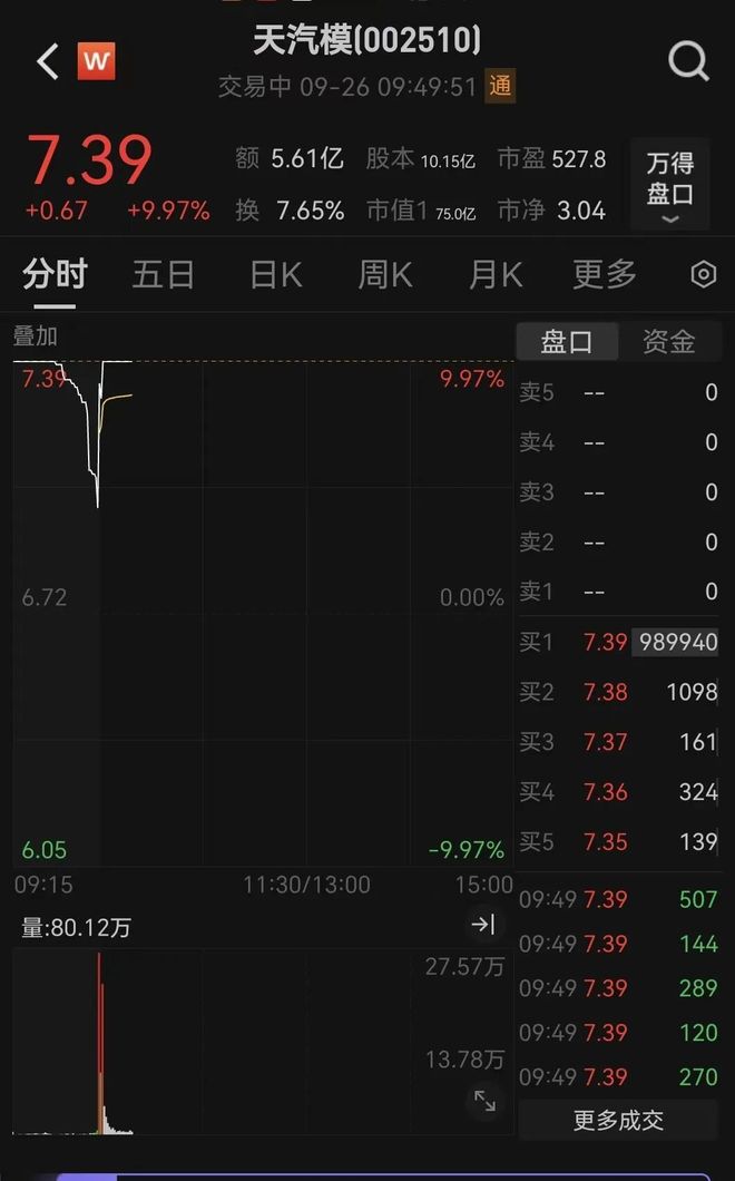 _开盘涨停迅速下跌的股票_涨停价开盘是什么意思