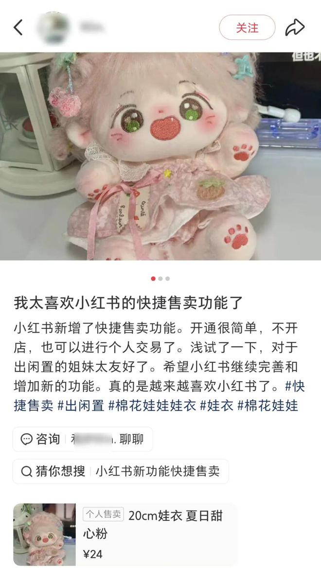 _小红书nannan咸鱼_小红书上闲鱼赚钱