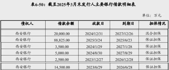 股东质押股票_补仓质押率_
