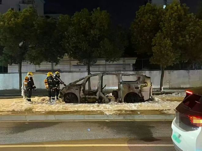 今年第三次!53万的理想MEGA烧了,奶爸:不敢想象__理想one奶爸