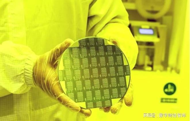 _785亿颗芯片!中国海关重要数据公布,老美苦笑:中国市场不买了_785亿颗芯片!中国海关重要数据公布,老美苦笑:中国市场不买了