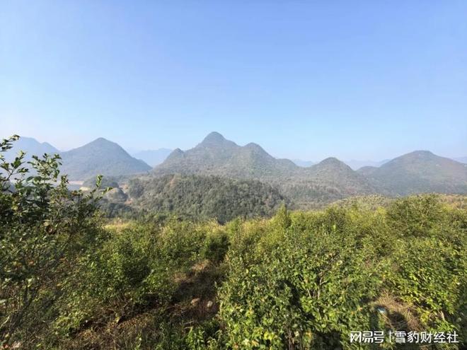 _马油瓶装和盒装的区别_骆驼油马油绵羊油区别