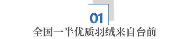 隐秘的羽绒帝国：河南小县，如何“捡”来了百亿生意？__隐秘的羽绒帝国：河南小县，如何“捡”来了百亿生意？