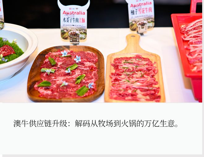 牛来牛往火锅怎么样_草原牛上牛火锅_