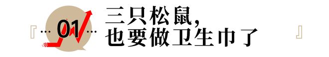 松鼠撕卫生纸_松鼠需要纸棉吗_