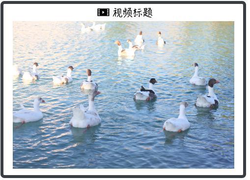特朗普宣布提高关税税率_特朗普收缩政策_