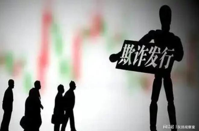 欺诈行业__欺诈发行股票的案例