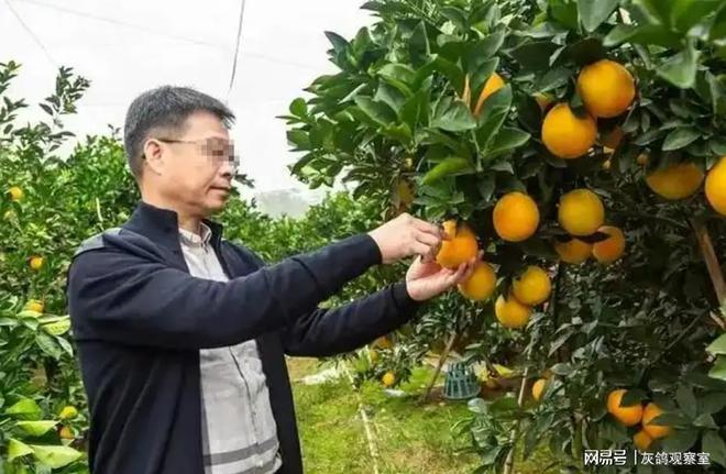 _雷翔鞋子老板魏培养电话_郑州土豪老板发现金