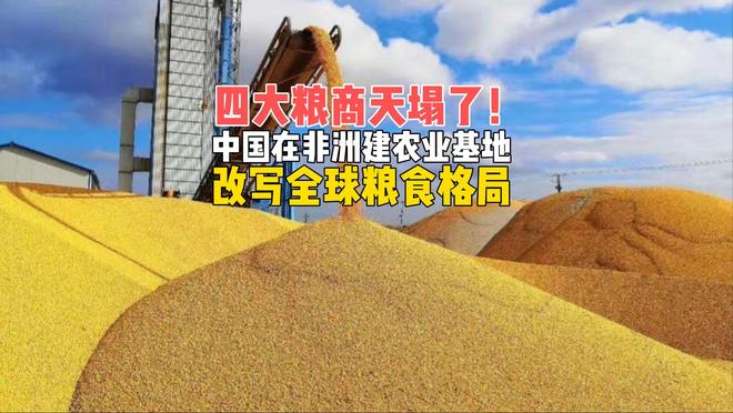四大粮商坐不住了，中国在非洲建农业基地，将改写全球粮食格局