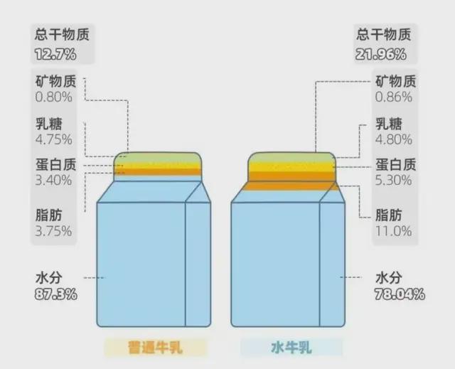 水牛奶跟花牛奶的区别__水牛奶和花牛奶的区别