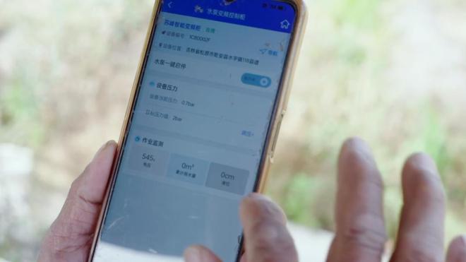 蜗牛是吉祥物吗__蜗牛吉祥物取名字