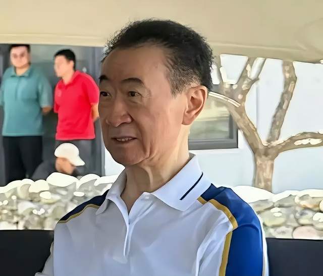 万达蜕变王健林_万达集团的王健林_