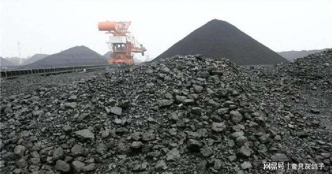 中纪委批官员档案造假_王岐山批官员雅腐现象_