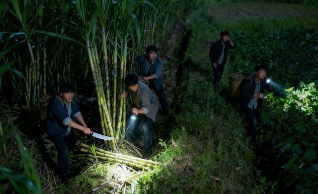 小说疯狂农场主_疯狂农场小说_