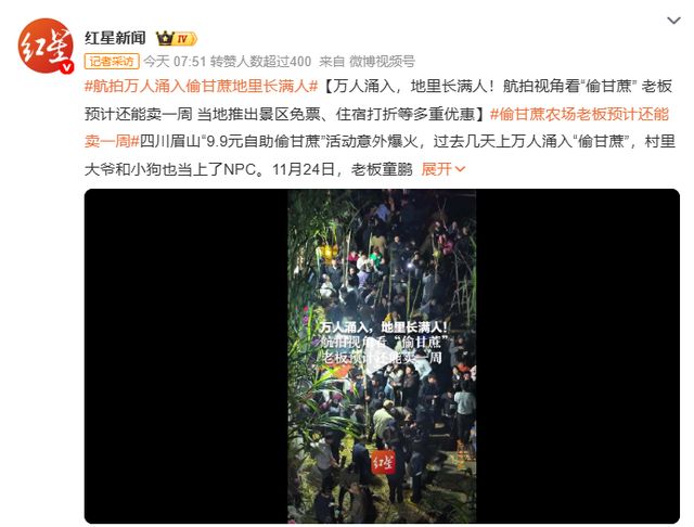 疯狂农场小说_小说疯狂农场主_