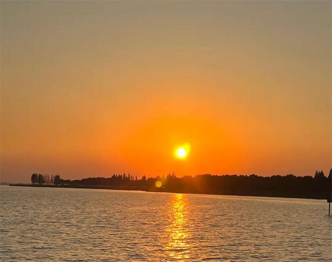 从价差牟利到锒铛入狱:一桩“串货”案如何改写医药行业规则__从价差牟利到锒铛入狱:一桩“串货”案如何改写医药行业规则