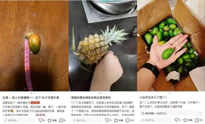 社区感和UGC：小红书市集，何以“友好”的底层逻辑_社区感和UGC：小红书市集，何以“友好”的底层逻辑_