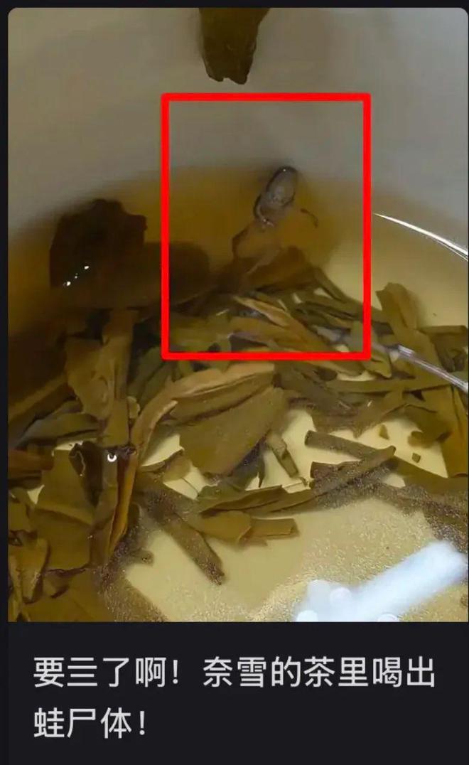 _茶里喝出青蛙？奈雪称“要赔偿就删帖”_茶里喝出青蛙？奈雪称“要赔偿就删帖”
