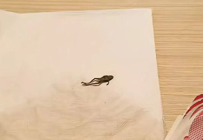 茶里喝出青蛙？奈雪称“要赔偿就删帖”__茶里喝出青蛙？奈雪称“要赔偿就删帖”