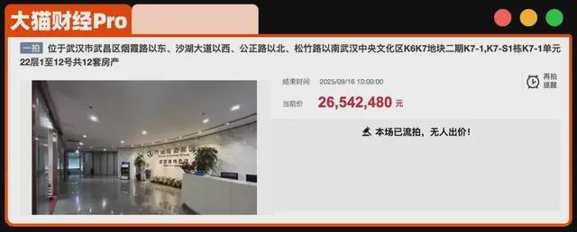 十万公里高巨大少女_王健林开的超市叫什么_