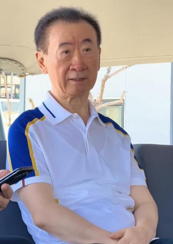 _万达广场王健林_万达集团的王健林